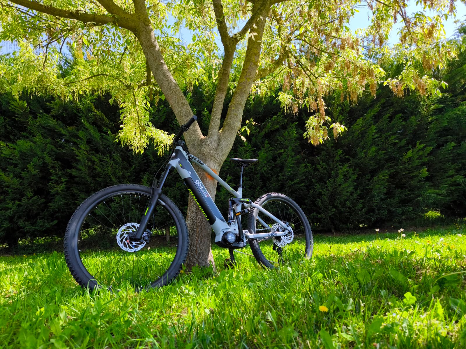 Una bici elettrica su un sentiero nella natura